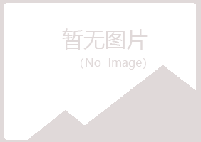 鹤岗南山灵薇咨询有限公司